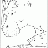 فراشة الغابات