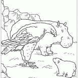 النسر ولارس