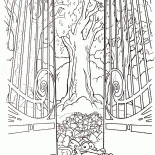 جنة السنجاب سكارت