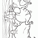 السنجاب سكارت