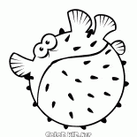 وهذا النظام