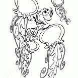 قناديل البحر وعلى نيمو