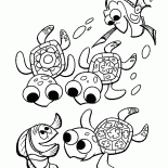 السلاحف تحت الماء