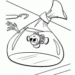 نيمو في حزمة