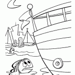 الكثير من القوارب