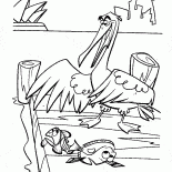 مالك الحزين الصيد