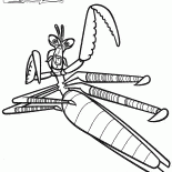 سيد فرس النبي