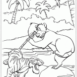 معركة شير خان وبالو