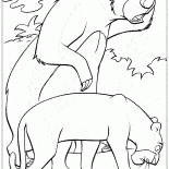 بالو وباجيرا يبحثان