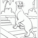 النمر باجيرا