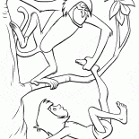 بندرلوجس وماوكلي