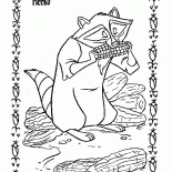 الراكون ميكو