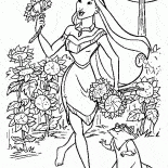 أصدقاء بوكاهونتاس