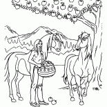 أمريكا مع التفاح مواطن