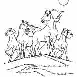 قبيلة البراري