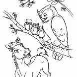 بومة والروح