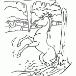 أول الشتاء الروح القدس