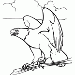 النسر والروح