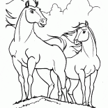 قائد السرب