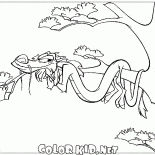 موشو في إجازة