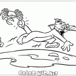 سرطان البحر وتوم