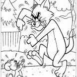 السجال توم وجيري