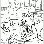 توم يمسك جيري