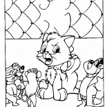 هريرة في ورطة