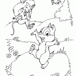 دايل، زيبر وأداة