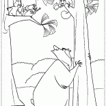 الصنوبر السناجب 