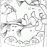 السناجب والدب