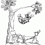 النمور لا تطير