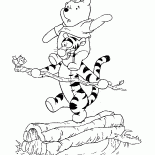 تيجر ويني ذا بو