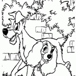 سيدة والصعلوك اتخاذ المشي