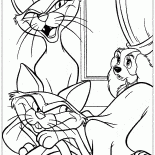 القطط في المنزل سيدة