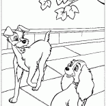 المشي على البحر