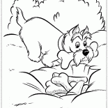 A مخبأ للعظام