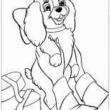 جرو عيد الميلاد