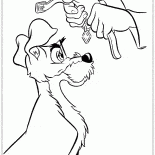 طوق للالصعلوك