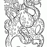 كبير الأخطبوط