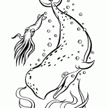 الحيتان في المحيط