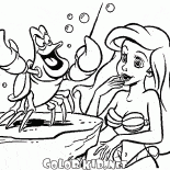 سيباستيان وحورية البحر الصغيرة