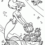 يعرض من ارييل