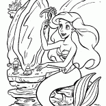 مشط المكونات