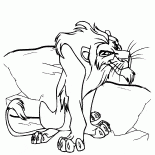 عم الندبة