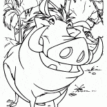 تيمون وبومبا