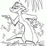 الفيلسوف الميركات