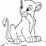 صديقة سيمبا - نالا