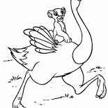 سيمبا على نعامة