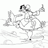 هجوم الببغاء